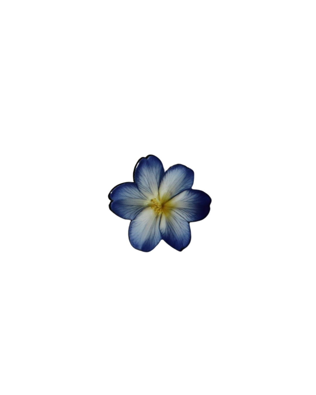 Blue Flower
