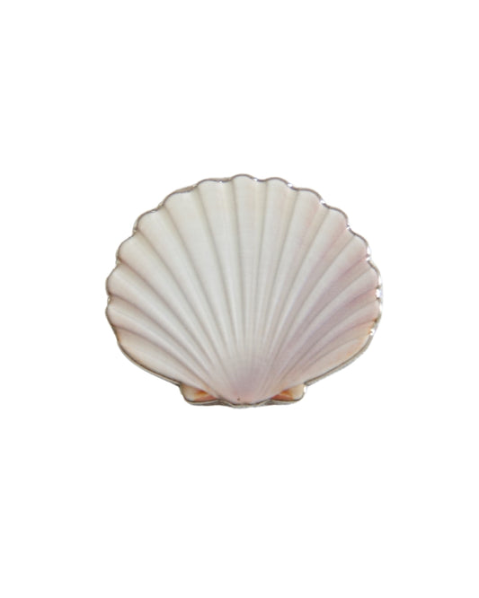 Sea Shell